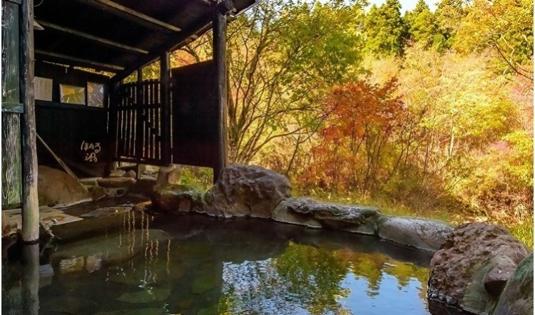 九重いやしの里ホテル大高原